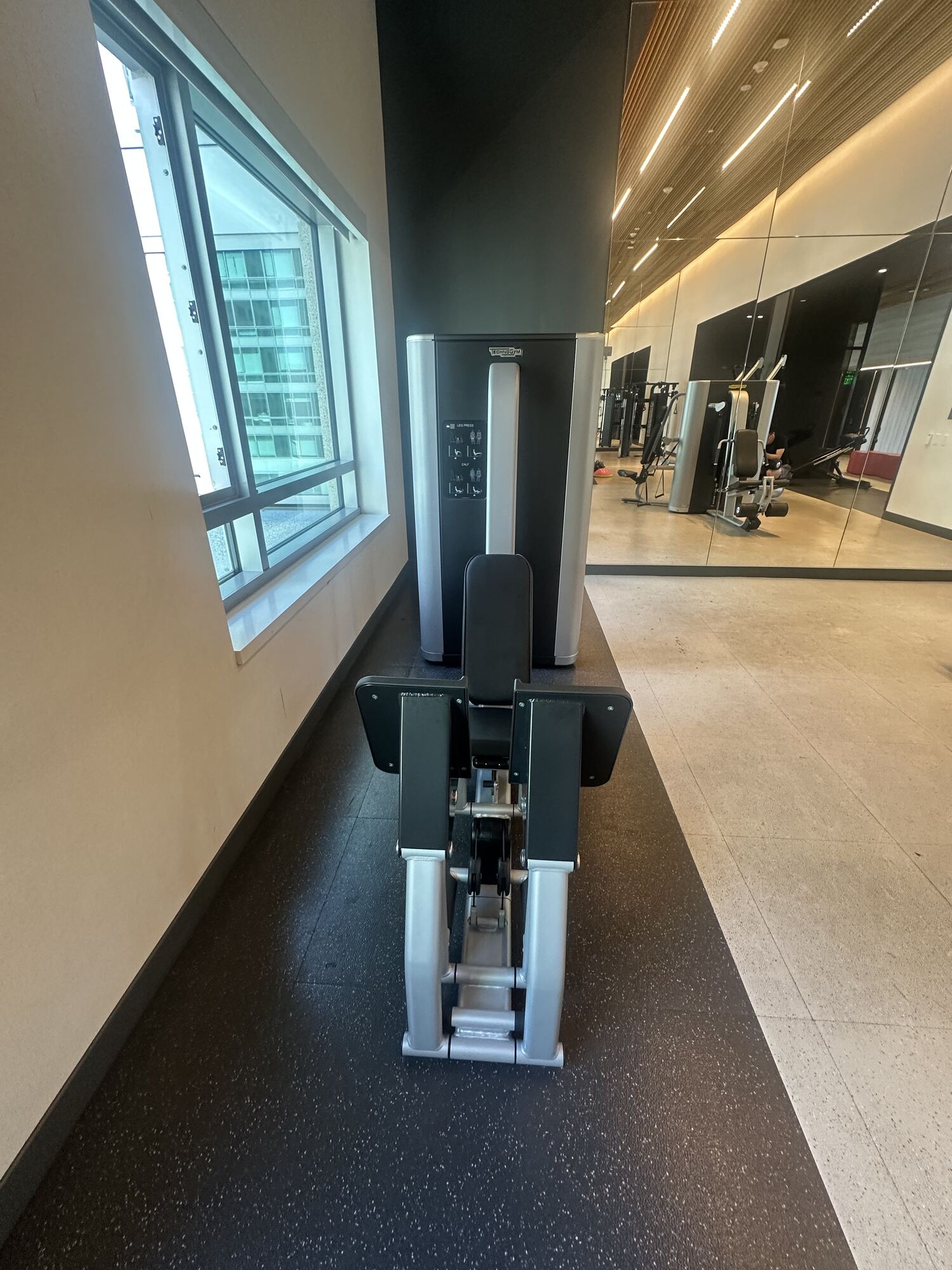 Leg Press / Calf