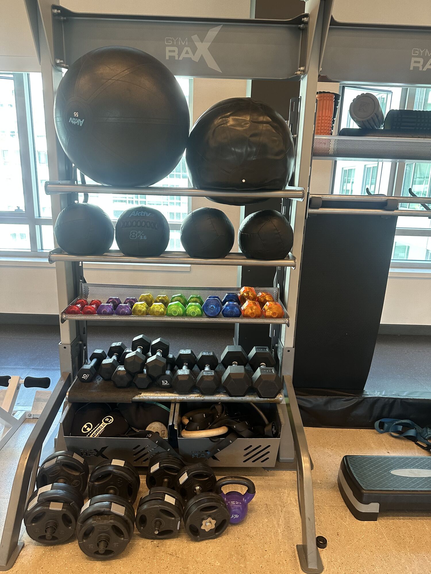 Free-weight Rig